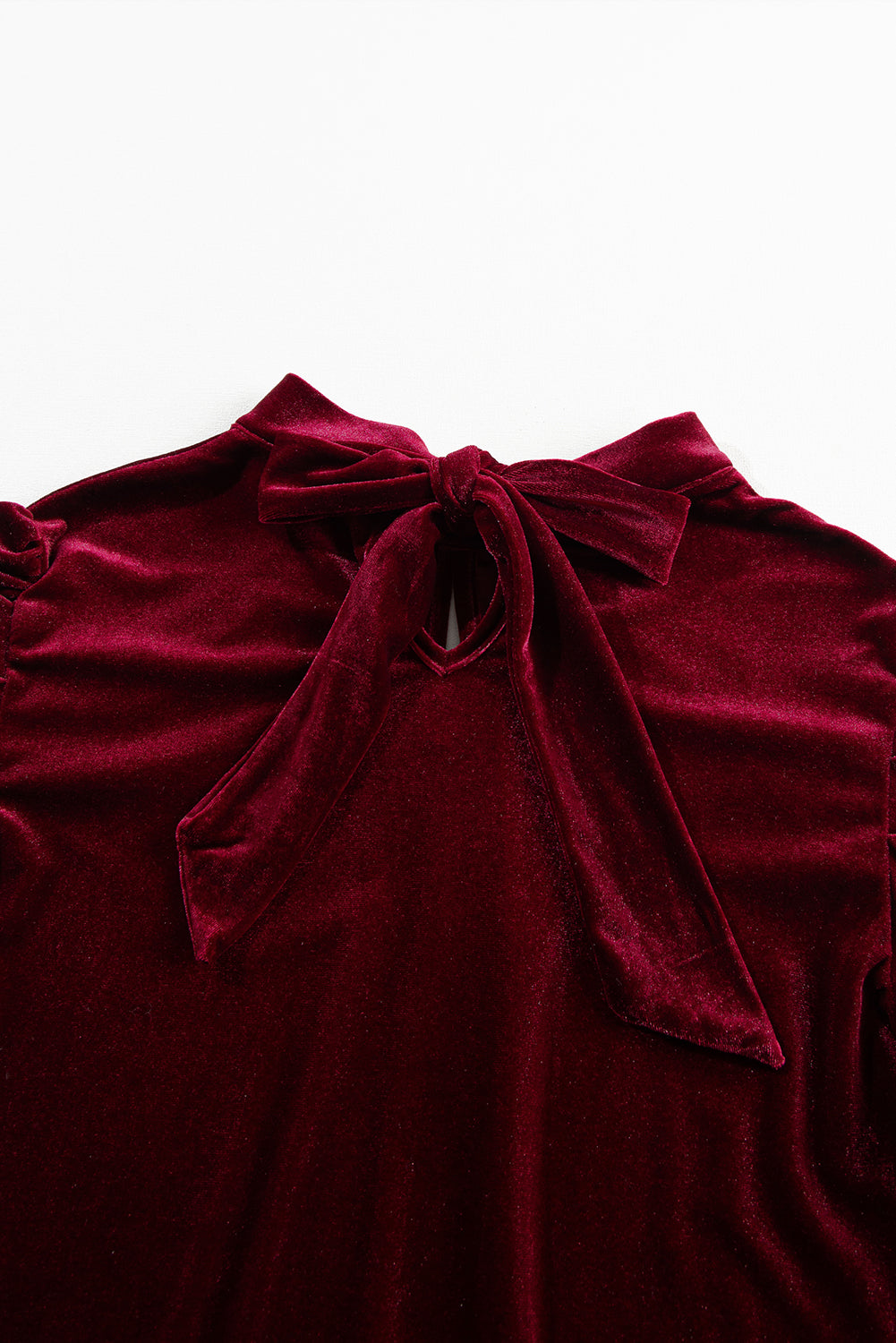 Fiery Red Mock Neck Puff Sleeve Velvet Blouse - The Red Leopard Boutique 